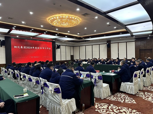 集团公司召开财务审计年会